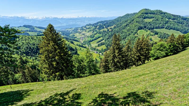 Unten ist Goldingertal und weiter das Ende von Zürichsee