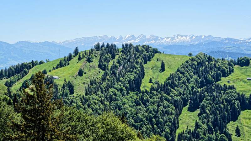 Blick Richtung Churfirsten