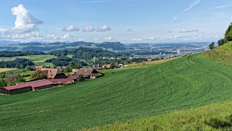 Image Aussichtsturm Bantiger – eine Wanderung mit Aussichten auf Bern