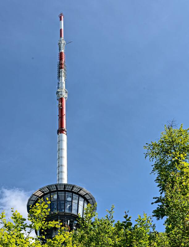 Sendeturm zwischen den Bäumen