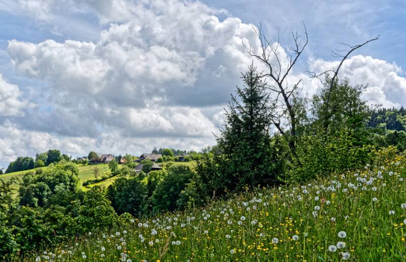 260517-aussichtsturm-bantiger-02355x_03_ek_sbtl2x