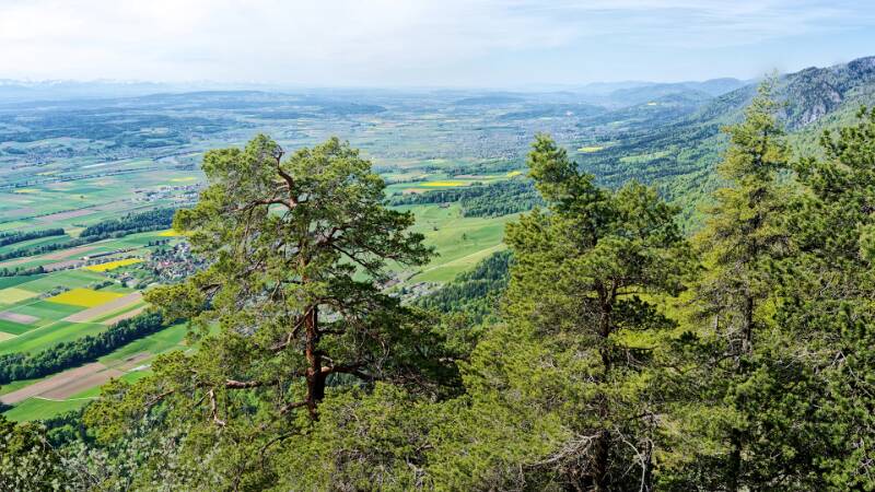 View Richtung Bielersee