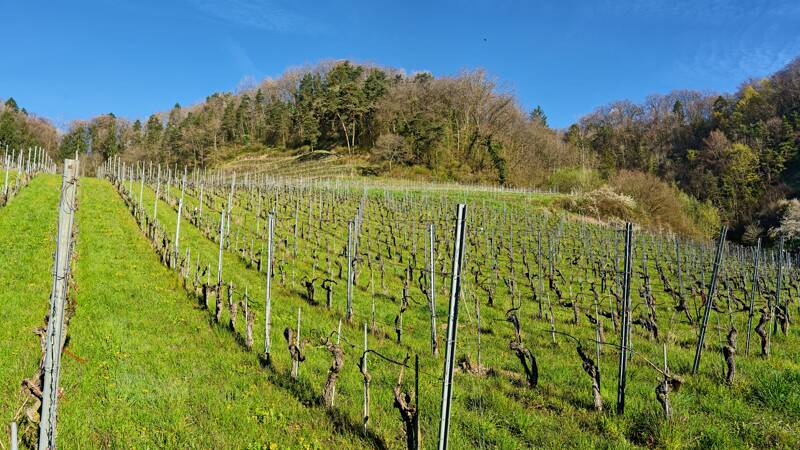 Nach dem Start im Praz