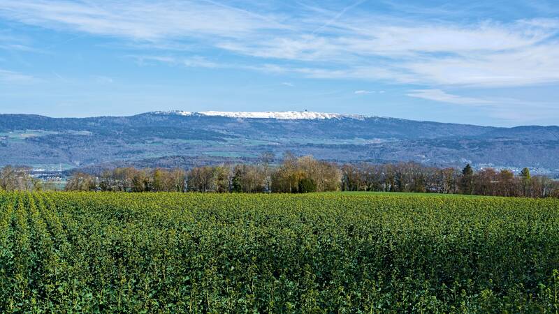 Chasseral mit Schnee bedeckt