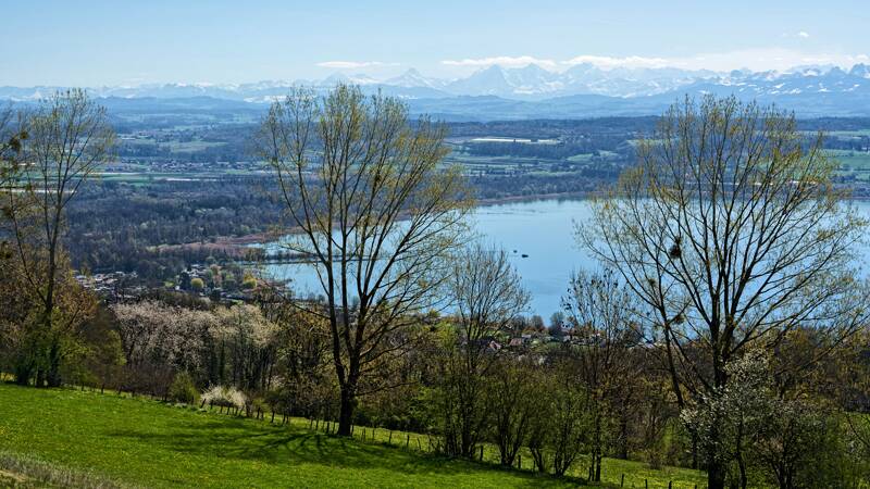 Das Nordende von Murtensee mit Alpen im Hintergrund