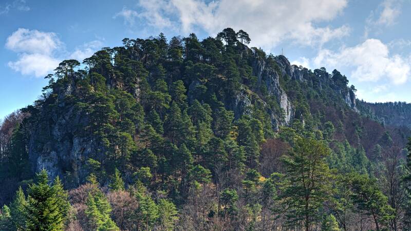 260402-stuermechopf-in-basel-landschaft-01483x_4x_5x