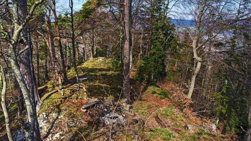 260402-stuermechopf-in-basel-landschaft-01498x_499x_500x