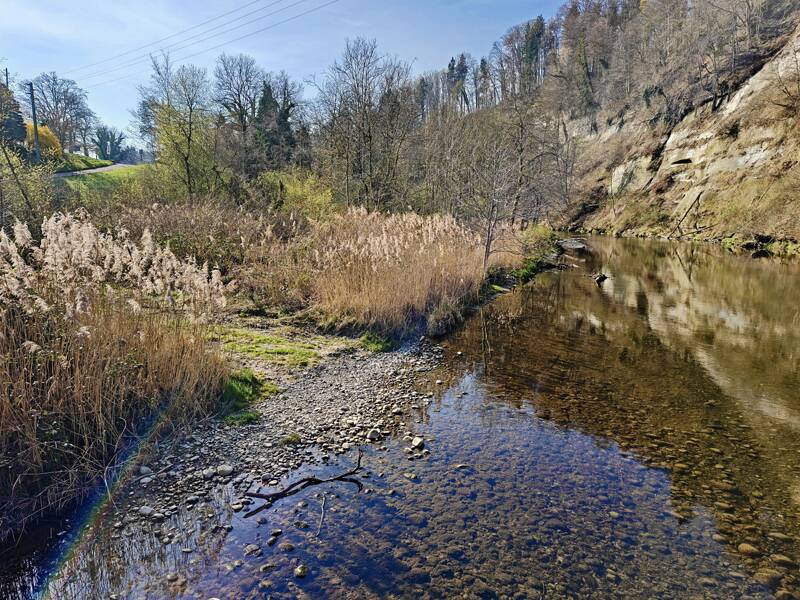 260328-aussichtsturm-petersboden-20260328091943x