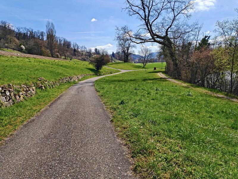 260328-aussichtsturm-petersboden-20260328111715x