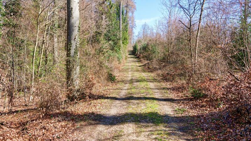 260313-wanderung-mettau-sennhof-01336x_7x_8x