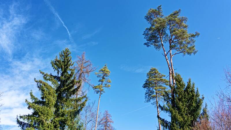 260313-wanderung-mettau-sennhof-01339x_40x_41x