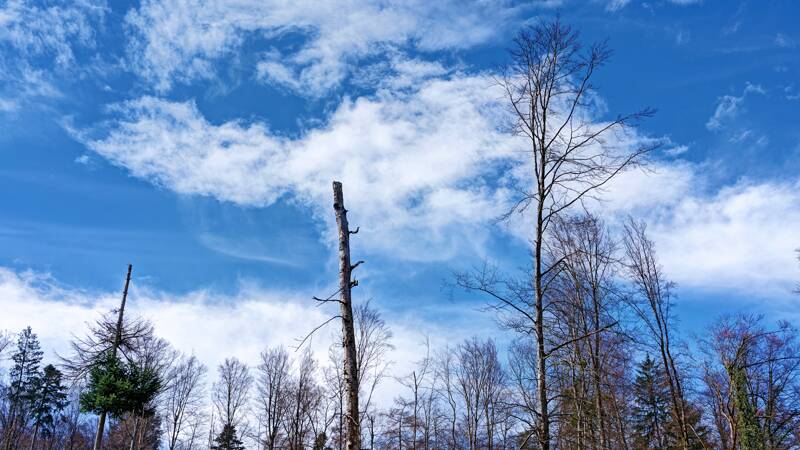 Rundwanderung Mettau - Sennhof