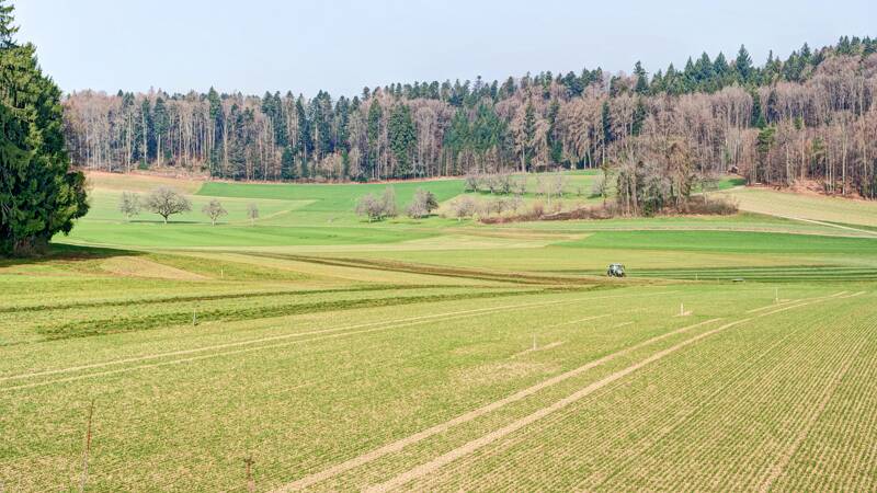 260307-Hochwacht-Homberg-eine-wanderung-bei-hallwilersee-01279x_80x_81x
