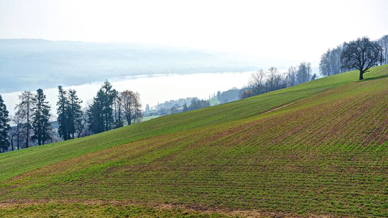 260307-Hochwacht-Homberg-eine-wanderung-bei-hallwilersee-01285x_6x_7x