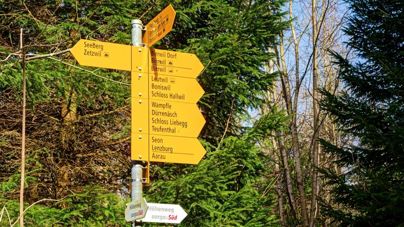 260307-Hochwacht-Homberg-eine-wanderung-bei-hallwilersee-01288x_89x_90x