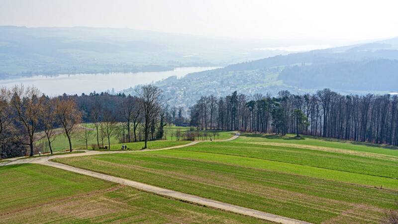 260307-Hochwacht-Homberg-eine-wanderung-bei-hallwilersee-01300x_1x_2x