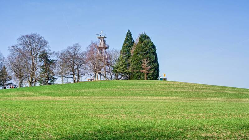 Homberg Hochwacht - eine Wanderung beim Hallwilersee