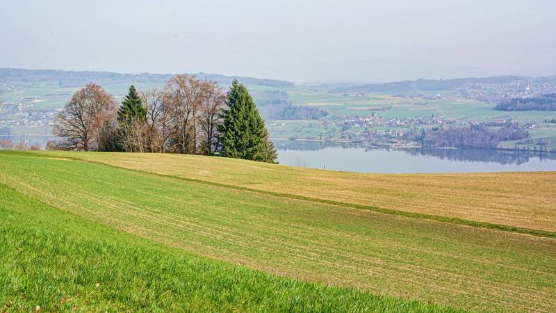 260307-Hochwacht-Homberg-eine-wanderung-bei-hallwilersee-01315x_6x_7x