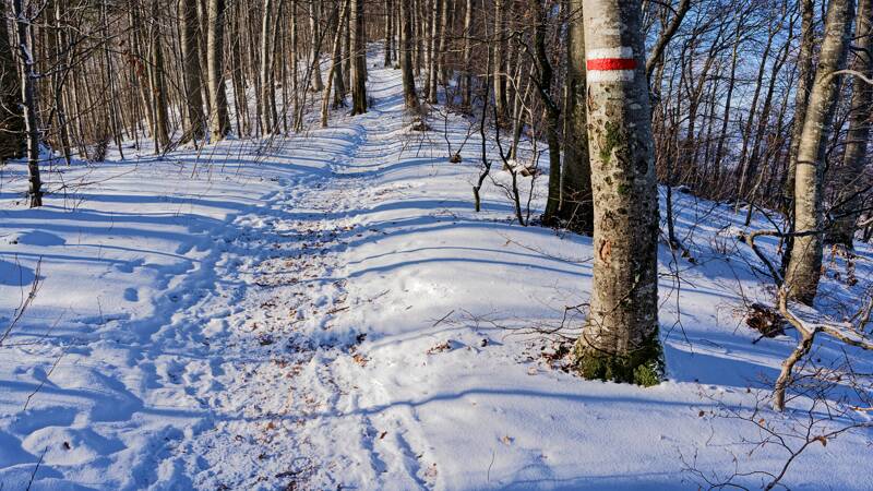 260104-Baden-Laegern-Dielsdorf-01141x_2x_3x