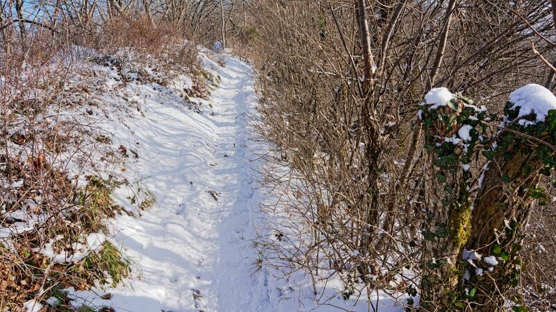 Auf dem schönen Winterwanderweg geht es weiter Richtung Hochwacht